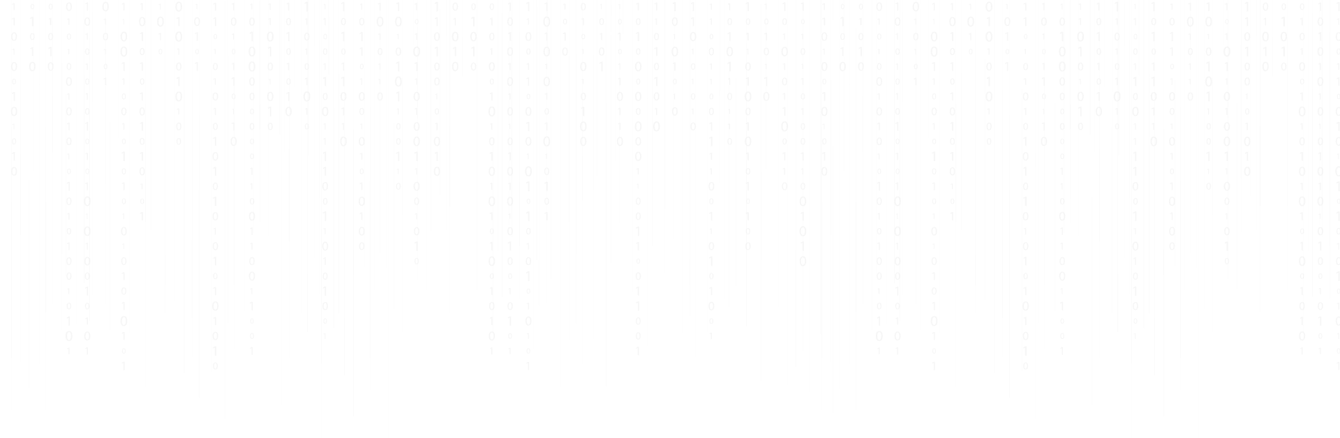 Junior {Full Stack} Web & Flutter App developer